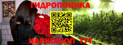 эйфоретик Гусиноозёрск