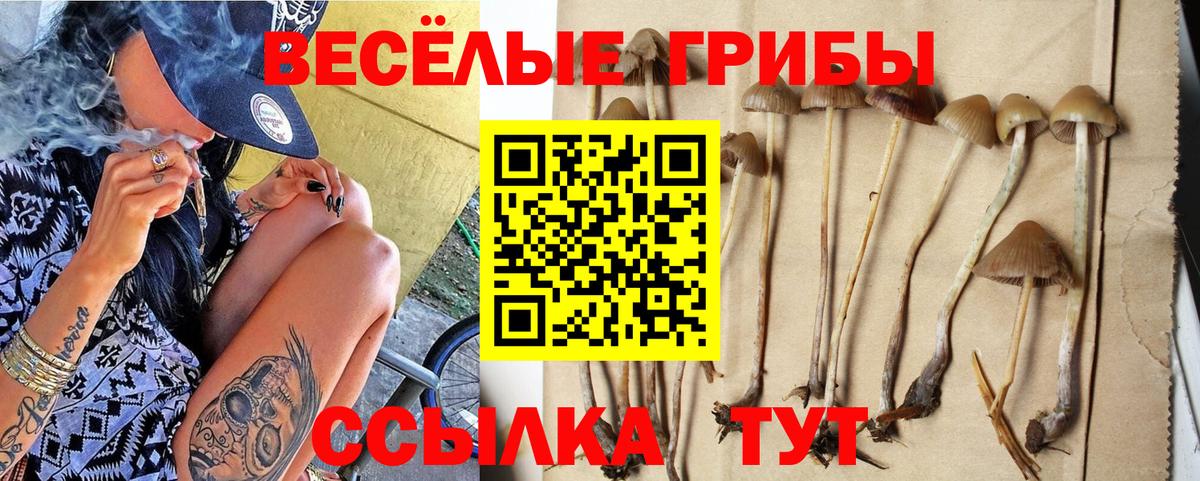 Галлюциногенные грибы Magic Shrooms Тобольск